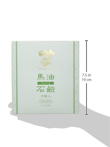 Amazon | ソンバーユ石鹸 85g×6個 ヒノキの香り | ソンバーユ | 洗顔